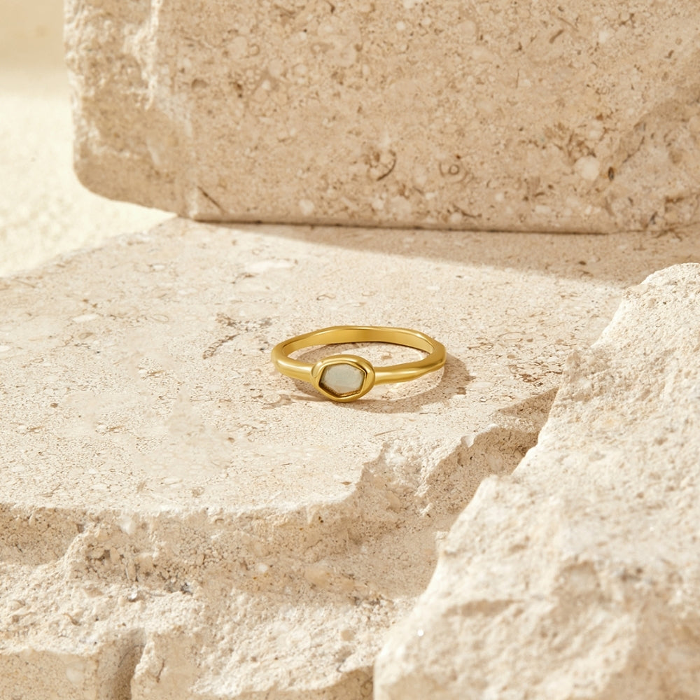 Edelstahl - RING Schablone
